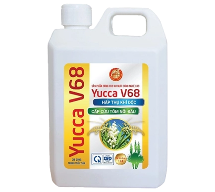 Yucca V68