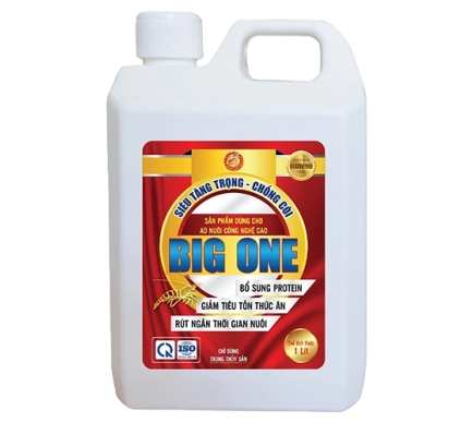 Big One