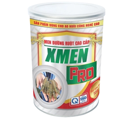 Men đường ruột cao cấp XMEN Pro