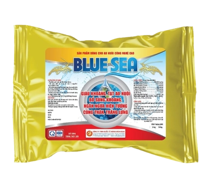 Blue Sea